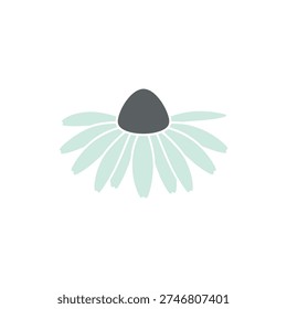 Echinacea Flower with Long Narrow Petals Vector