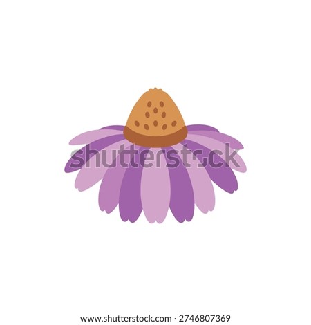 Echinacea Flower with Soft Rounded Petals Flat Icon