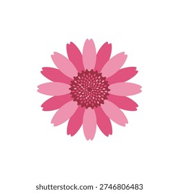 Echinacea Flower Top View with Bold Pink Petals