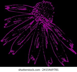 Echinacea flower. Vector hand drawn sketch illustration. Sloppy doodle grunge style