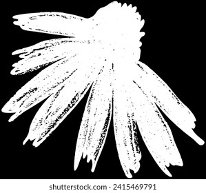 Echinacea flower. Vector hand drawn sketch illustration. Sloppy doodle grunge style