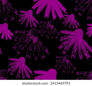 Echinacea-Blume. Vektorhandgezeichnete Skizzengrafik. Schlampenwurzel-Stil