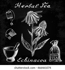 Echinacea Hand Drawn Sketch Botanical Illustration. Vector Drawing. Herbal Tea Elements - Tea Bag, Bag, Mortar And Pestle. Medical Herbs. Effect Chalk Board