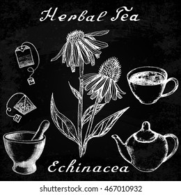 Echinacea hand drawn sketch botanical illustration. Vector drawing. Herbal tea elements - cup, teapot, kettle, tea bag, bag, mortar and pestle. Medical herbs. Lettering in English. Effect chalk board