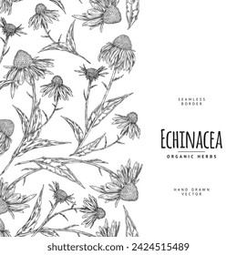 Echinacea pattern design. Vector seamless border of hand-drawn echinacea flowers and leaves, perfect for organic herb themes