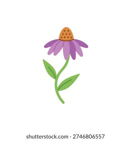Echinacea Plant with Curved Stem Flat Vector Design