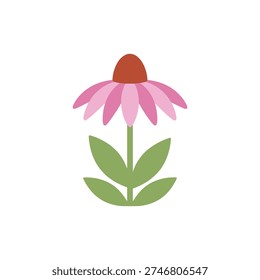 Echinacea Plant with Decorative Petals Flat Vector