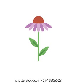 Echinacea Plant with Elongated Stem Flat Vector Icon