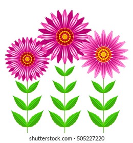 Echinacea purpurea flowers vector illustration.
Vector illustration of group of echinacea purpurea blooming flowers with steams and green leaves.