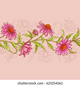 echinacea purpurea pattern
