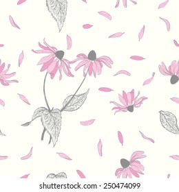Echinacea (Echinacea purpurea) seamless background