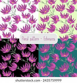 Echinacea. Seamless pattern with handdrawn flowers