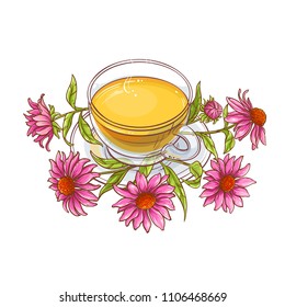 echinacea tea illustration