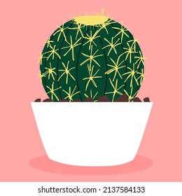 Echinocactus grusonii. Cactus en una olla. Plantas y flores. Jardinería. Verano. Vector dibujado a mano. Ilustración para la decoración.