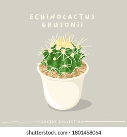 Echinocactus Grusonii : Cactus type collection : Cactus in white small pot isolated on beige background : Vector Illustration