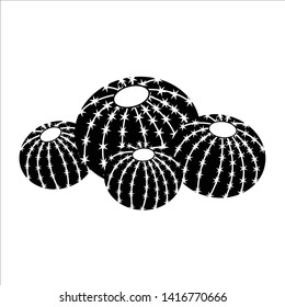 Echinocactus Grusonii cactus vector illustration. Hand drawn cactus. Sketchy style illustration.