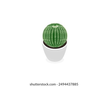 Echinocactus grusonii on a white background.