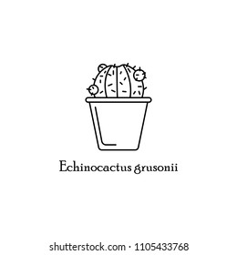 echinocactus grusonii in pot outline icon. Element of flower icon for mobile concept and web apps. Thin line echinocactus grusonii in pot outline icon on white background