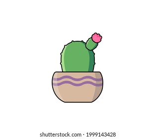 Echinocereus pectinatus cactus vector illustration in flat style. 