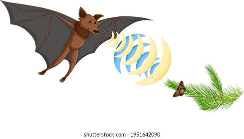 Echolocation in bats isolated on white background illustration