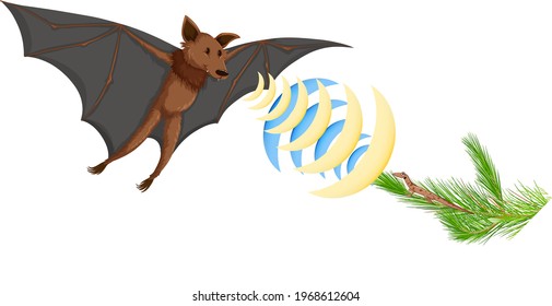 Echolocation in bats isolated on white background illustration