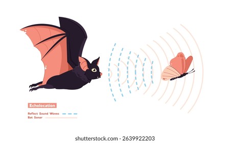 Echolocation illustration, Bats emit high frequency sounds to prey and analyze the returning echoes to navigate.