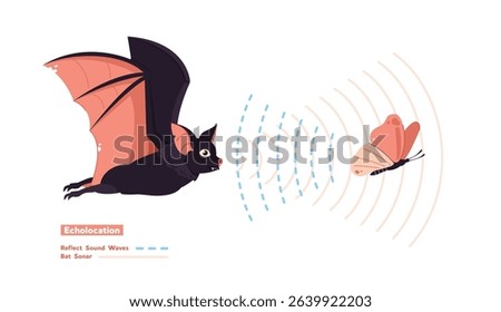 Echolocation illustration, Bats emit high frequency sounds to prey and analyze the returning echoes to navigate.