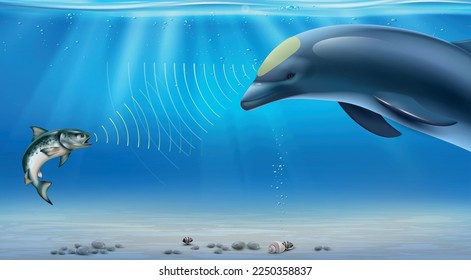 Echolocation realistic infographics with dolphin using bio sonar under water vector illustration