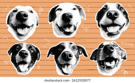 An eclectic fusion of vintage halftone art featuring a playful dog collage on an orange paper background, perfect for funky and surreal sticker sets, groovy banners, and quirky posters.