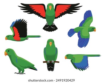 Eclectus Parrot Green Bird Flying Various Poses Cartoon Vector Character