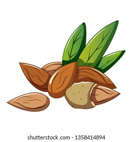 Eco almond icon. Cartoon of eco almond vector icon for web design isolated on white background