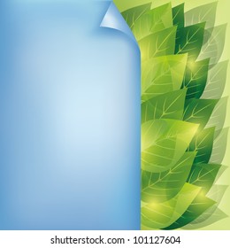 Eco background with fresh green leaves and blue paper - place for text, vector illustration