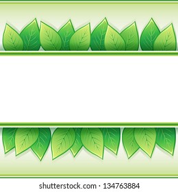 Eco background with fresh green leaves and white paper - place for text, vector illustration