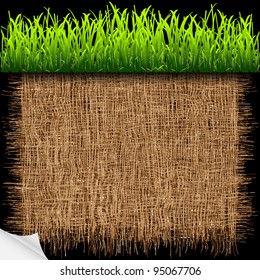 Eco background with green grass.Vector eps10