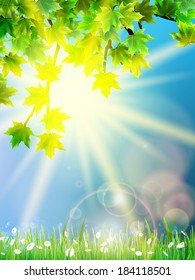 Eco background - green leaves, grass, bright sun. EPS10