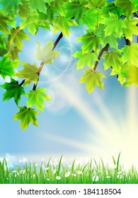 Eco background - green leaves, grass, bright sun. EPS10
