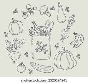 Eco bag with food and collection vegetables. Isolated vector outline drawings paper bag, beetroot, tomato, cucumber, eggplant, cauliflower, pumpkin and pepper