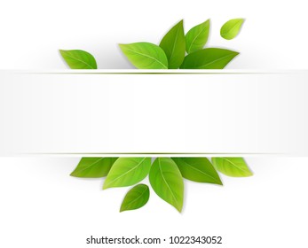 Eco banner with fresh green leaves. Blank with place for text. Realistic vector.