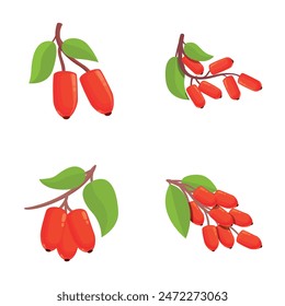 Eco barberry icons set cartoon vector. Fresh red barberry on branch. Organic food