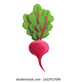 Eco beet icon. Cartoon of eco beet vector icon for web design isolated on white background