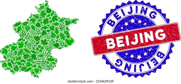 Eco Beijing City map collage of herbal leaves in green color variations and grunge bicolor Beijing stamp. Red and blue bicolored seal with grunge style and Beijing caption.