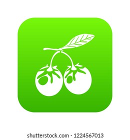 Eco berry icon green vector isolated on white background