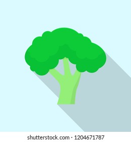 Eco broccoli icon. Flat illustration of eco broccoli vector icon for web design