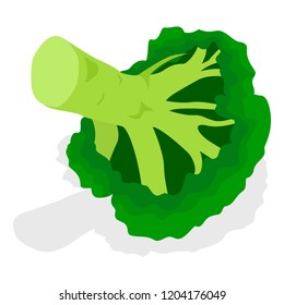 Eco broccoli icon set. Isometric set of eco broccoli vector icons for web design isolated on white background