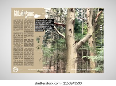 Eco brochure layout with nature landscape background, vctor illustration ready for use