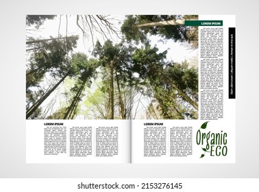 Eco brochure layout with nature landscape background, vctor illustration ready for use