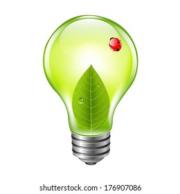 Eco Bulb With Ladybug, With Gradient Mesh, Vector Illustration
