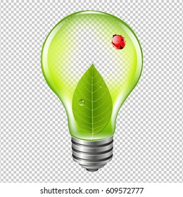 Eco-Bulb mit Ladybug mit Farbmesh, Vektorgrafik