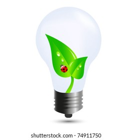 Eco bulb with leaves and ladybug