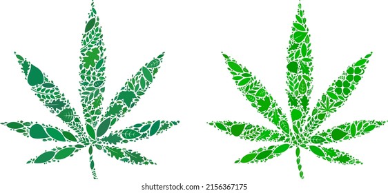Eco-Cannabis-Blatt-Symbol-Collage von Kräuterblättern in Grün-und natürlichen Farbtönen. Ökologische Umgebung, Vektorvorlage für Cannabis-Blattsymbol.